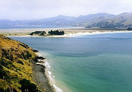 New Zealand - Otago Peninsula