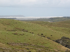 Neuseeland - Parengarenga Harbour