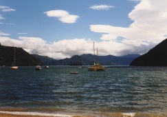 Neuseeland - Picton, Queen Charlotte Sound