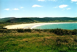 New Zealand - Porpoise Bay