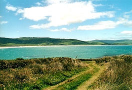 Neuseeland - Porpoise Bay