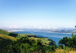 Neuseeland - Otago Harbour