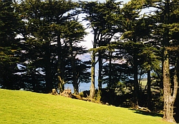 New Zealand - Port Chalmers