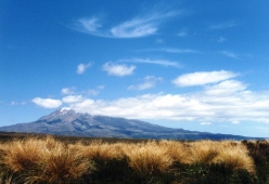Neuseeland - Mt Ruapehu