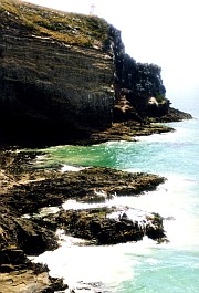 New Zealand - Taiaroa Head