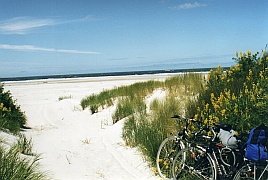 New Zealand - Taieri Mouth