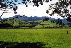 New Zealand - Tairua Hikuai