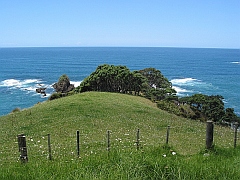 New Zealand - Taupiri Bay