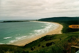 New Zealand - Tautuku Bay