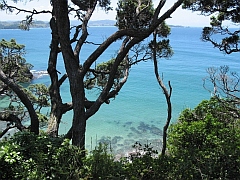 New Zealand - Matapouri, Tutukaka Coast