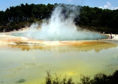 Neuseeland - Champagner Pool