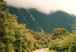 Neuseeland - West Coast Road