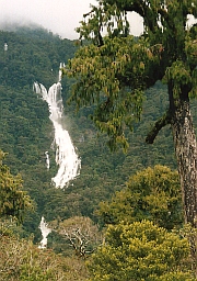 New Zealand - Haast River valley