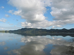 Neuseeland - Whangaroa