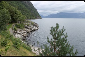Near Alvik at Hardangerfjord