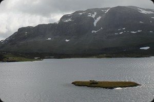 Haukelifjell