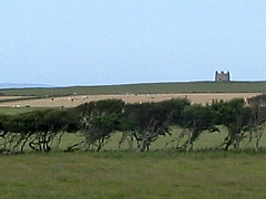 Schottland - Castletown