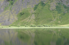 Scotland - Glen Coe