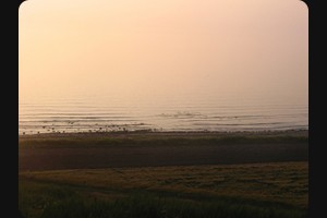 Heads of Ayr