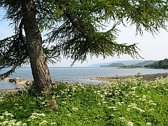 Scotland - Loch Fyne