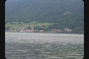 Lake Biel